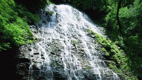 智能智能智能